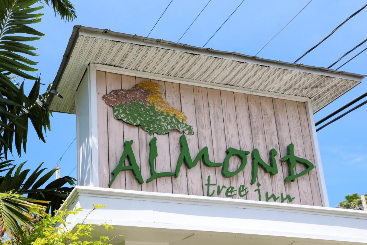 Almond Tree Inn - Adults Only Key West Exteriér fotografie