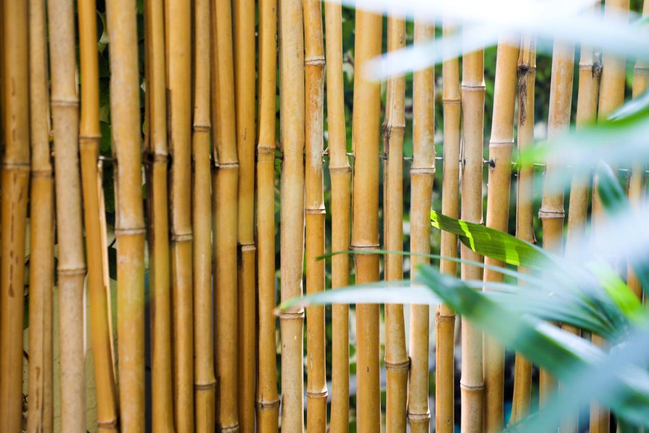 Almond Tree Inn - Adults Only Key West Exteriér fotografie
